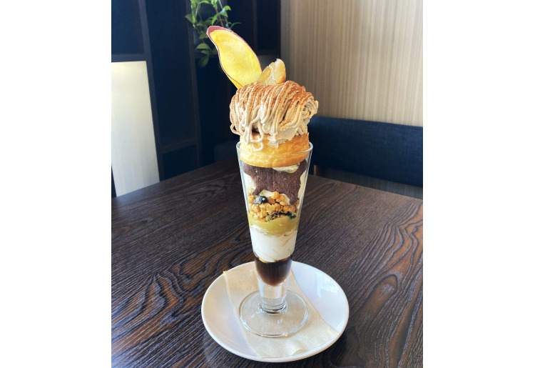 ▼ねことブルーベリーのひととき